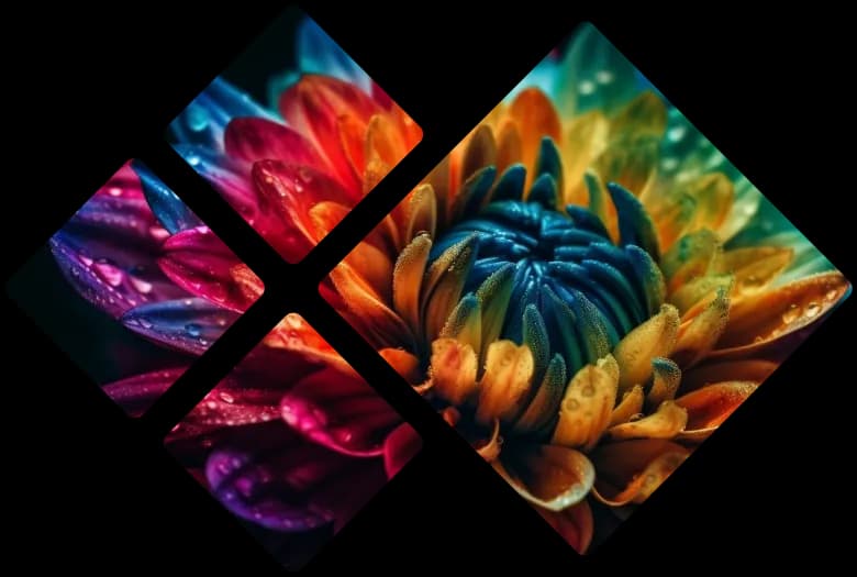 Colorful Flower